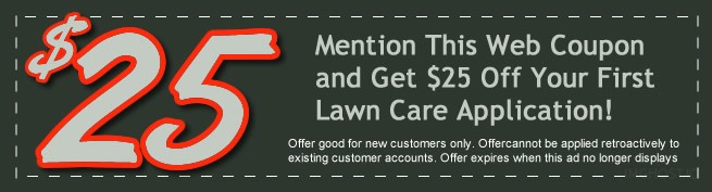 Discounts and offers on our lawn care services