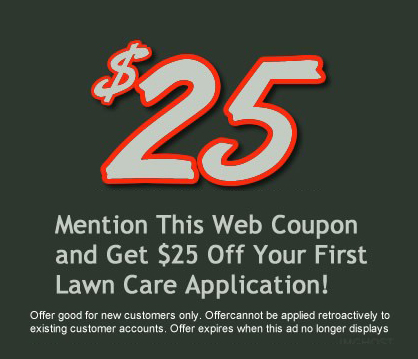 Special offers and discount deals on our lawn care services
